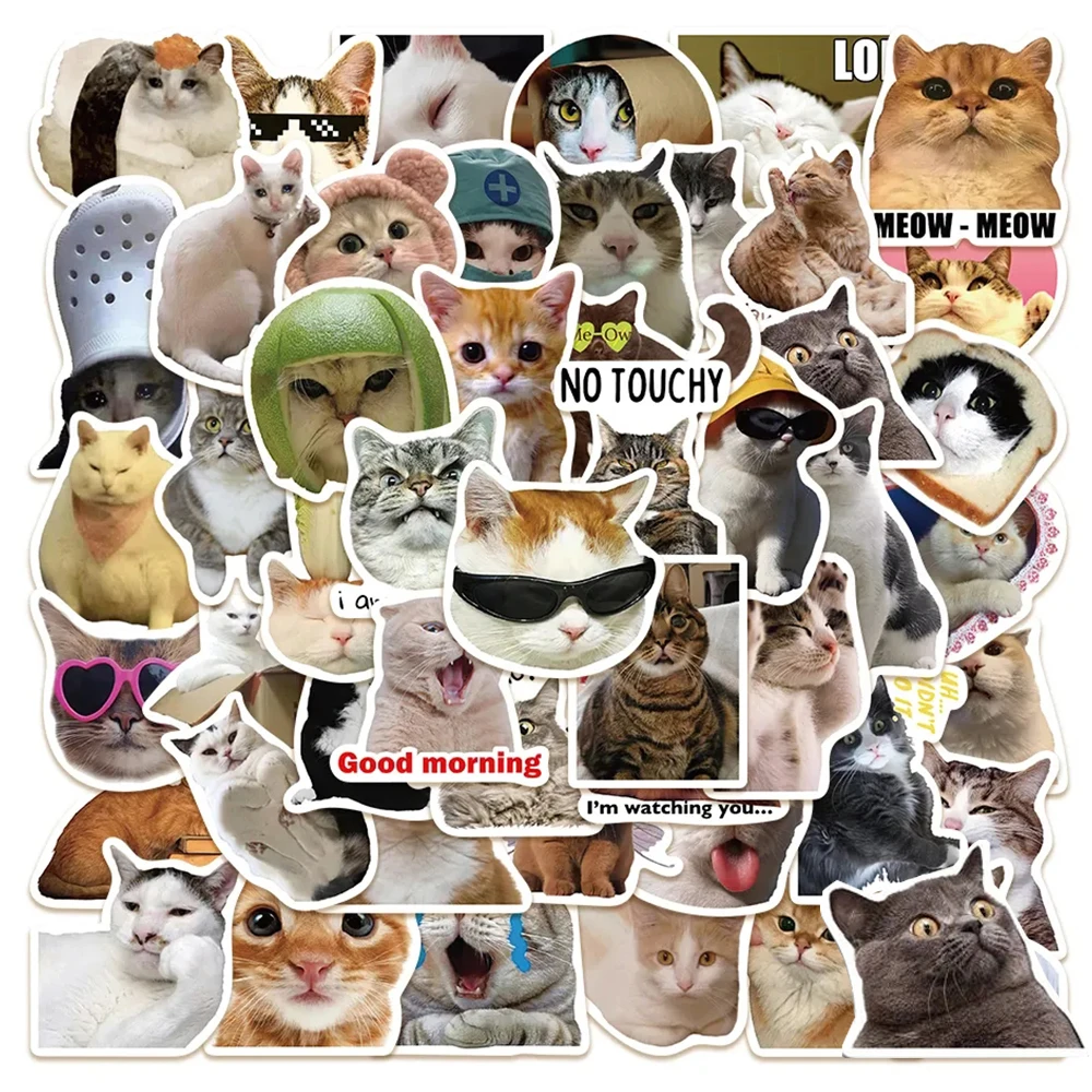 10/30/50pcs Funny Cute Cat MEME Animals Stickers Kawaii Aesthetic Decals Laptop Phone Notebook Decoration Scrapbooking Sticker