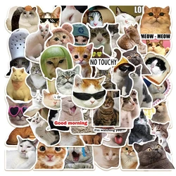 10/30/50pcs Funny Cute Cat MEME Animals Stickers Kawaii Aesthetic Decals Laptop Phone Notebook Decoration Scrapbooking Sticker