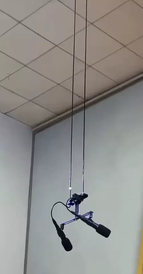 For School Auditorium Stage Microphone Lifter Wheat Lift Hanger Chorus Microphone Electric Hoist