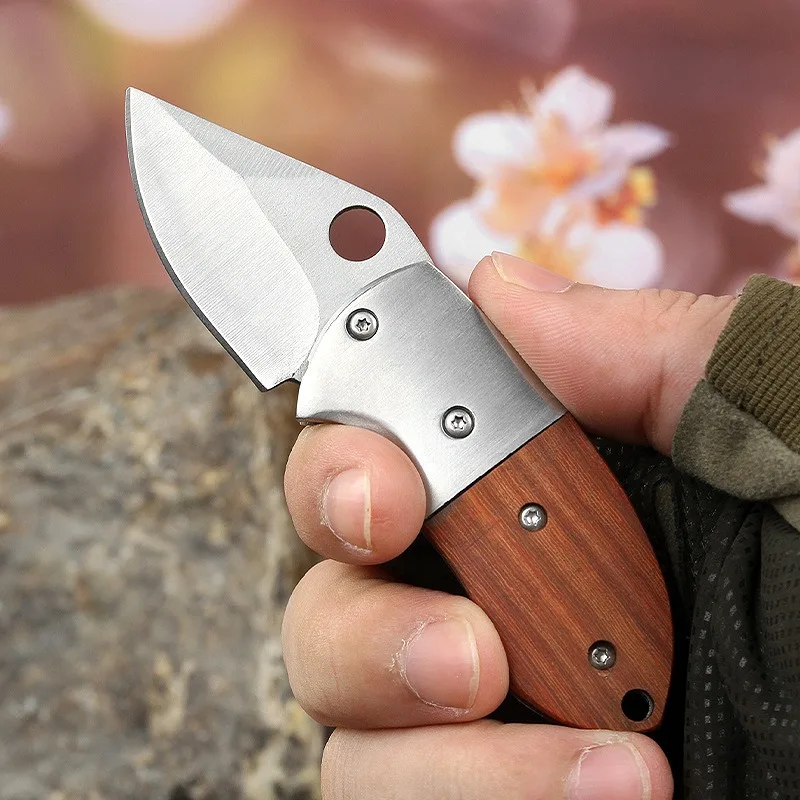 Portable multi-functional outdoor mini folding knife CR13 exquisite keychain unboxing knife DK20