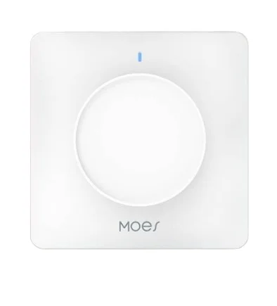WiFi Tuya Smart Home Dimming Switch App Temporizzazione del telecomando Zigbee Touch Manopola Smart Switch