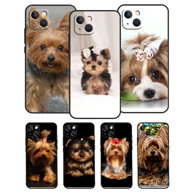 Yorkshire Terrier D… - image