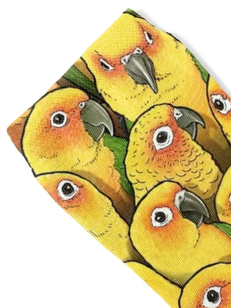 جوارب Jenday Conures لعيد الميلاد السعيد، أحذية المشي لمسافات طويلة، جوارب مجنونة للرجال والنساء