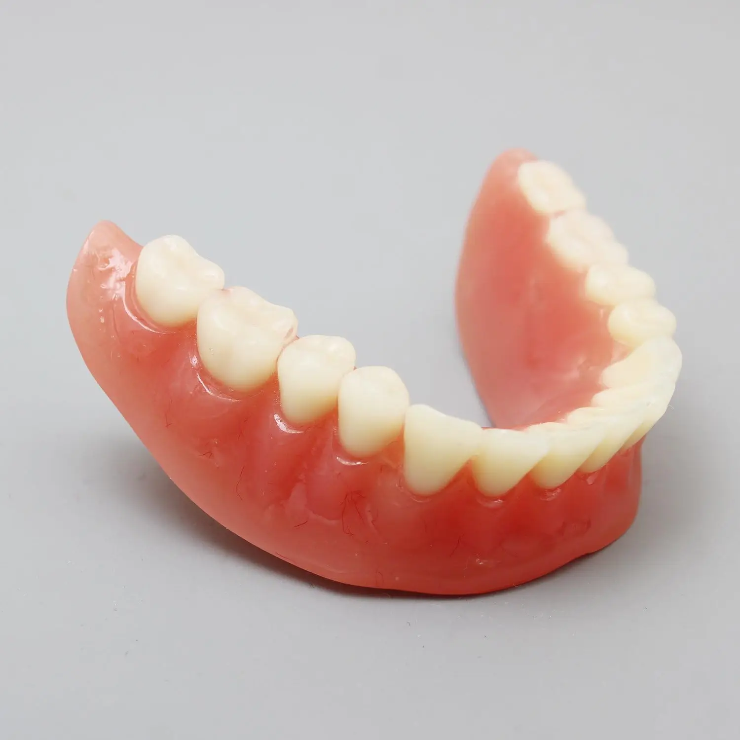 Bild 6: AG Dental-Zahnmodell für den Unterricht, Bildung, Studium, Zahnmedizin, Oberkiefer/Mandibular, Overdenture, Unterkiefer-Zahnmodell