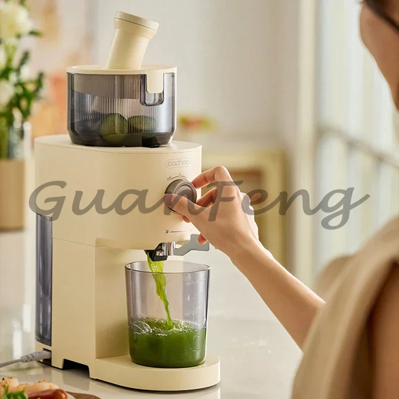 Multifunctional fruit and vegetable screw slow juicer 13CM large diameter household low speed juicer