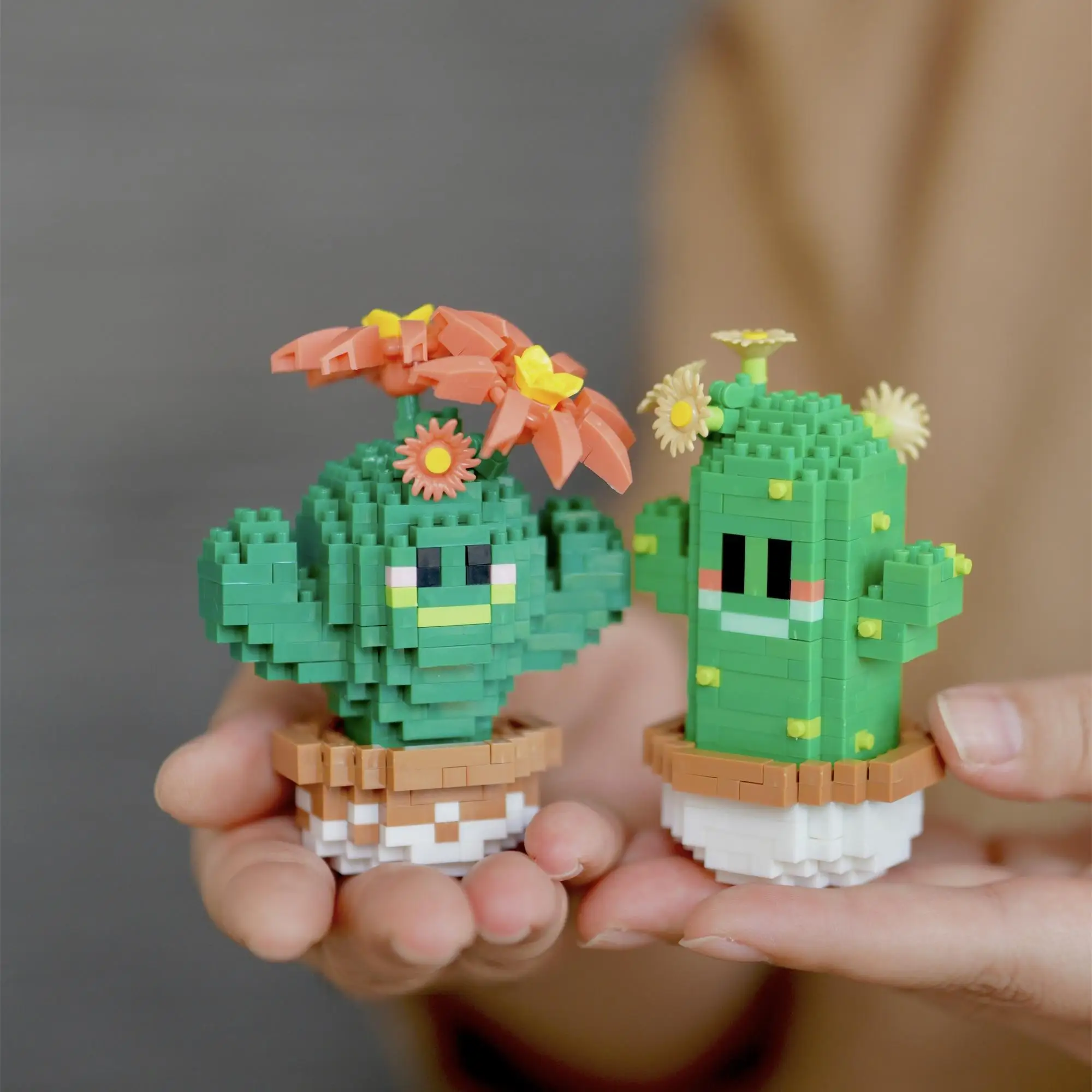 Cactus Series Cute and Cute Ins Style Handmade Assembly Gift for Boyfriend and Girlfriend Companion Building Blocks