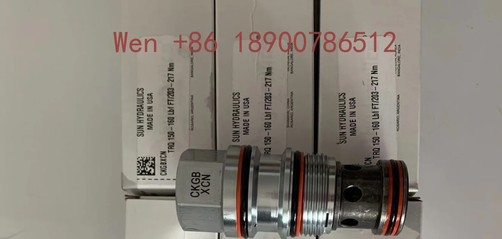 Original SUN Cartridge Valve Hydraulic Control Check Valve CKGB XAN CKGB XCN Spot