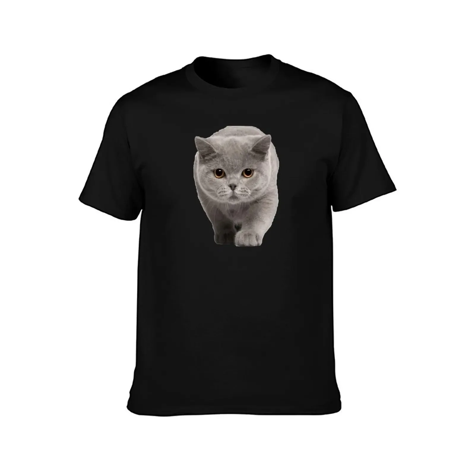 British Shorthair T-Shirt Luxury man sweat Men's t-shirts