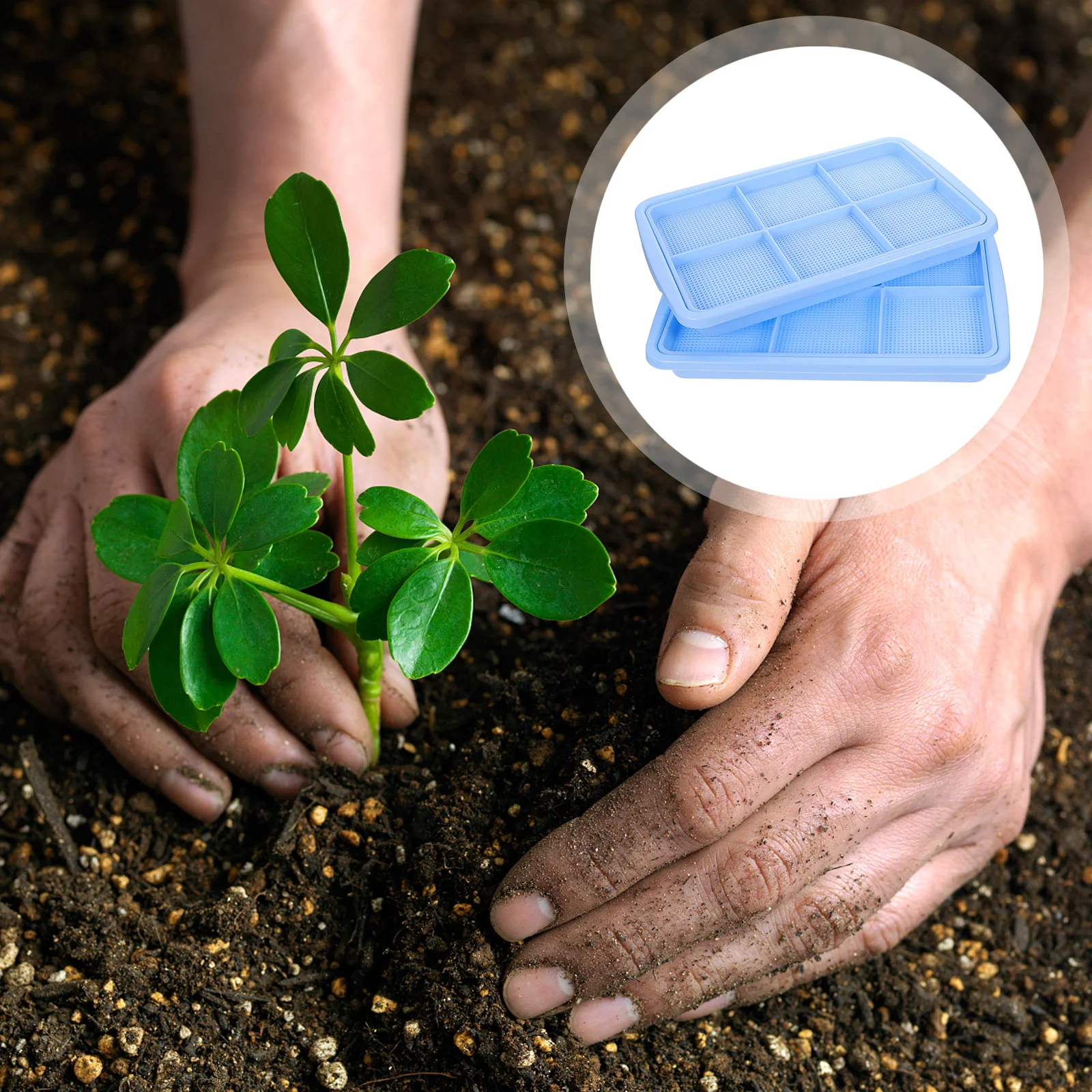 

2 set Double Layer Diy Seedling Box For Sprouting Wheatgrass Cat Grass Vegetable Seeds Multi-Function Hydroponic Tray