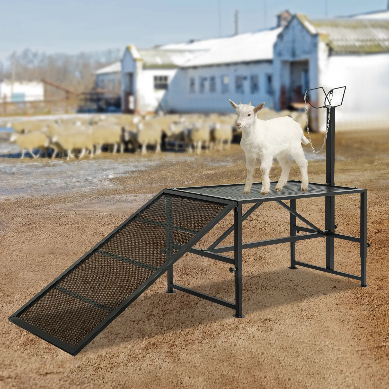 

Livestock Trimming Stand with Ramp for Goats and Sheep Adjustable Height Durable Iron Frame High Load Capacity Anti Slip Design