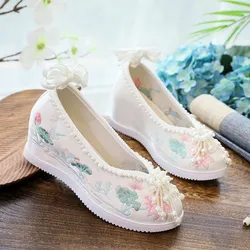 2026 Chinese traditional retro hanfu shoes embroidery shoes ancient style women's single shoes ancient costume dance shoes q150