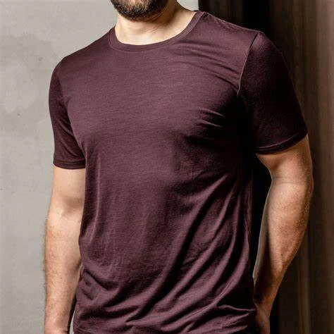 Superfine Merino Wool T Shirt Men Base Layer Merino Shirt Wicking Breathable Quick Dry Anti-Odor No-itch Big USA Size image 3