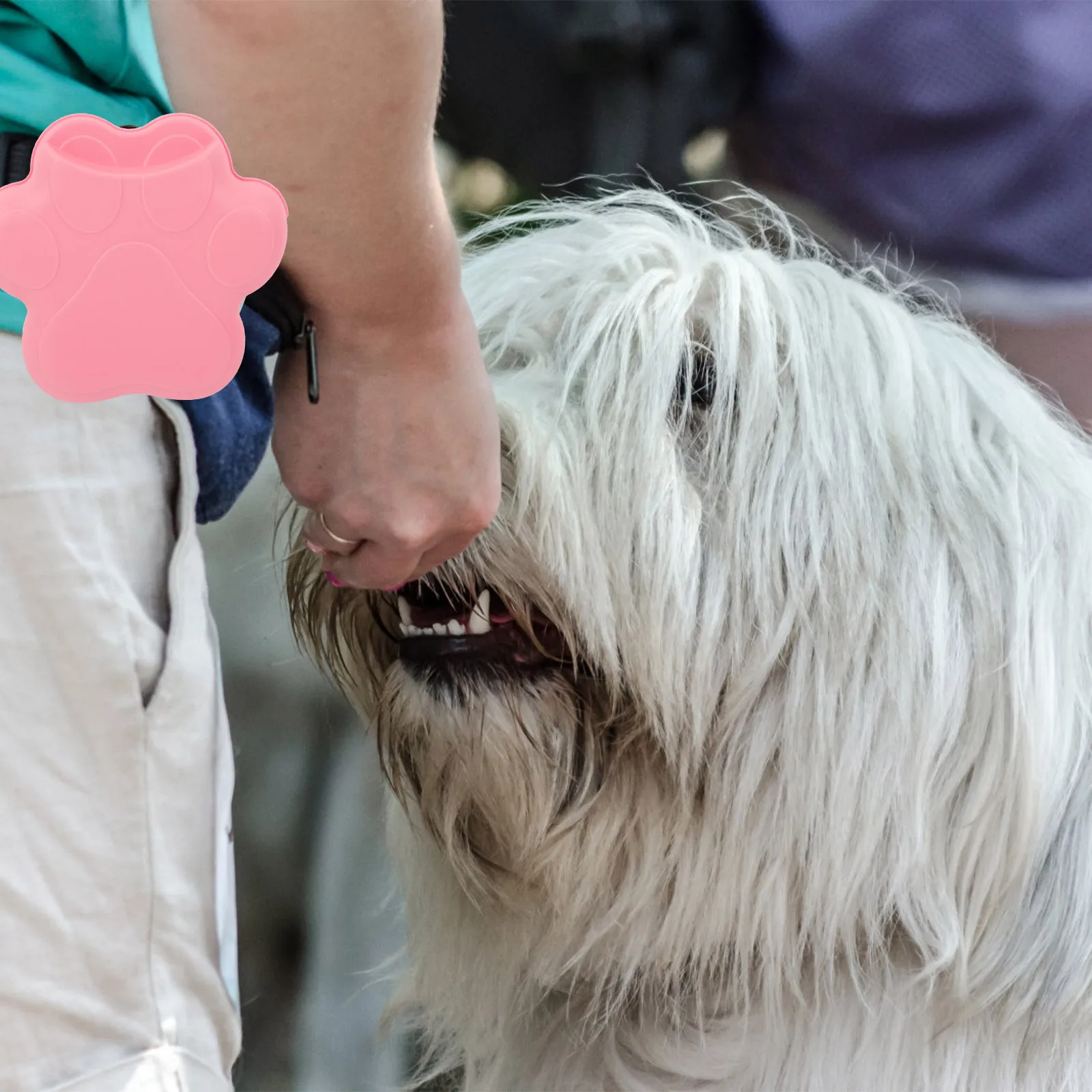 

Portable Dog Treat Bag Pack Silicone Food Pouch Outdoor Training Walks Puppy Accessories Toys H