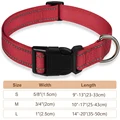 red collar