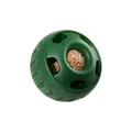 dog toy