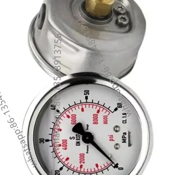 

Pressure Gauge EN837-1 Shockproof Stainless Steel Pressure Gauge Factory Direct Sales