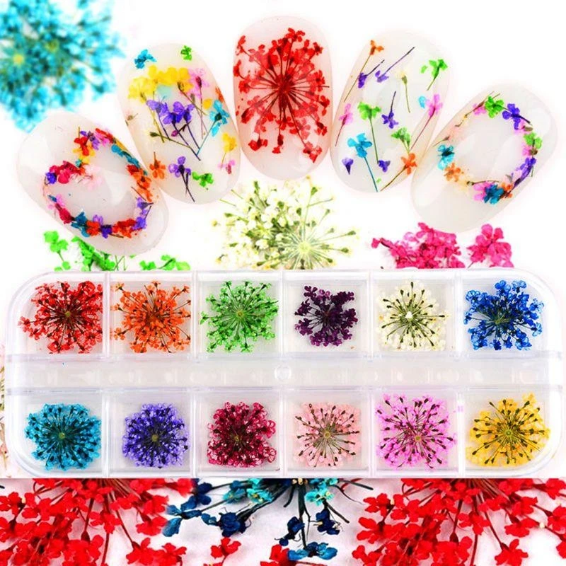 U4LF 24 Pieces/Set Small Dried Flowers UV Resin Decorations Art Epoxy Mold Fillers for DIY Crafts Jewelry Embellishments