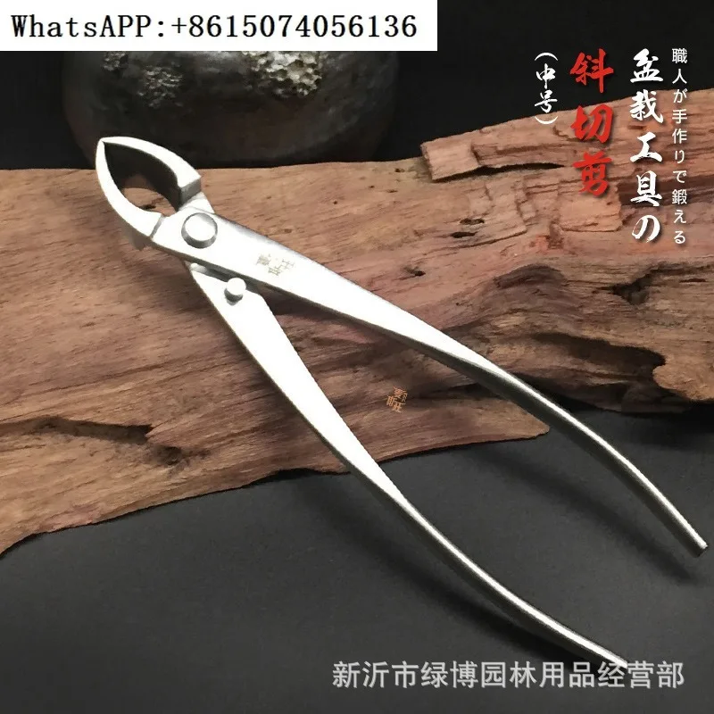 

Bonsai modeling tools - Oblique pliers for cutting forked branches and side branches - Horticultural scissors