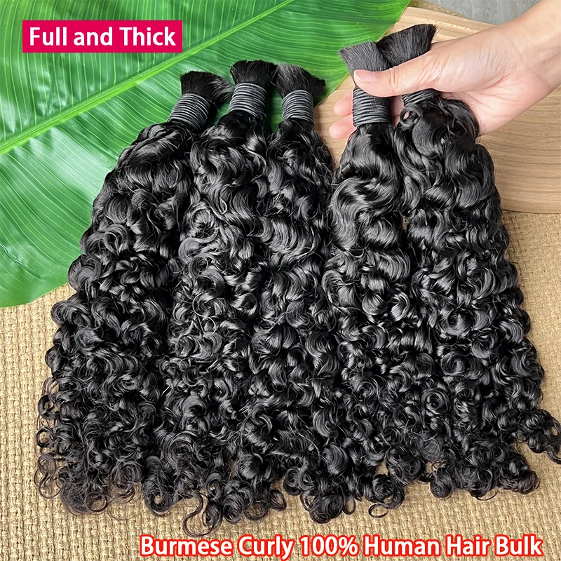Ruw Bulk Echt haar Voor Vlechten Groothandel Birmese Krullend Boho Vlechten Extensies van echt haar Geen inslag Dubbelgetrokken Krullend haar Bulk