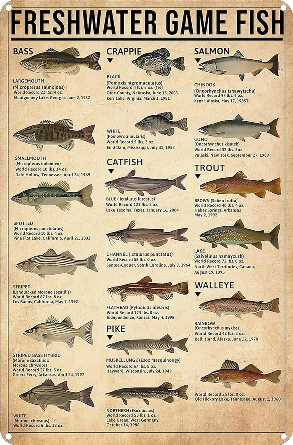 Cadeaux de pêche pour garçons, Vintage, poisson de jeu d'eau douce, signe en étain pour homme, grotte, chambre à coucher, lac, maison, cabine, décor artistique mural (3069)