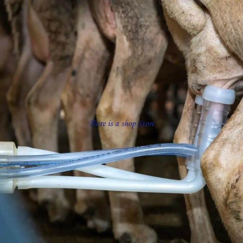 

D0AD Sheep Milking Cluster Groups with Milk Collector for Home Farm Dairy Farm Equipment