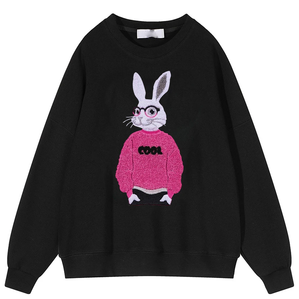 Hirsionsan Cotton Kawaii Rubbit Print Women Sweatshirt  Basic Loose Female Pullovers Korean Hoodies 2023 Autumn New Y2k Fleece