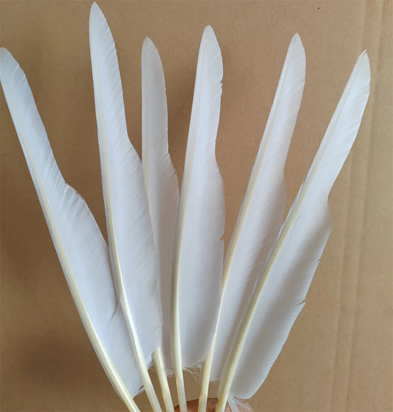 ¡Pluma decorativa de plumas de hombro de ganso blanco bonito, plumas de ganso blanco de 12-14 pulgadas 30-35cm para manualidades, 50 unids/lote!