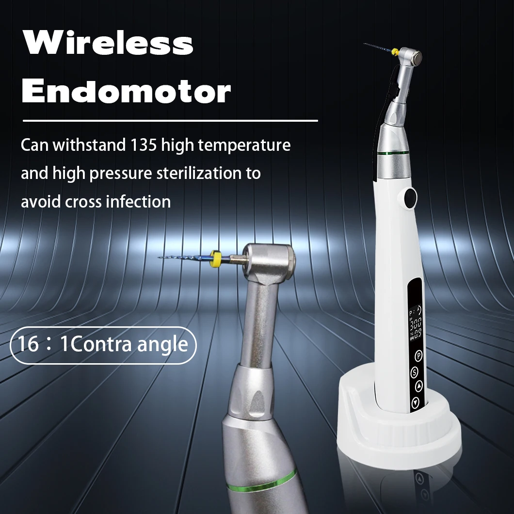 2023 Hot Sale Factory Price 16: 1 C-Type Wireless Endo Motor LED Light for Root Canal Therapy