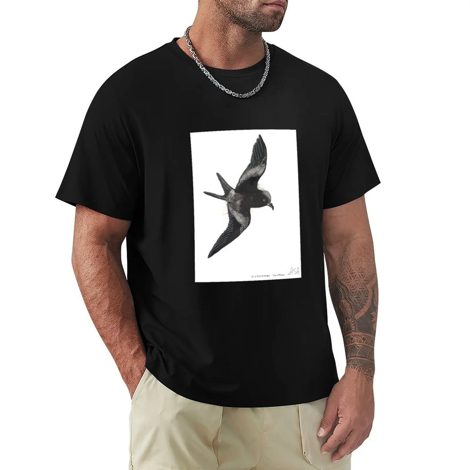 Tristram's Storm Petrel T-Shirt Soft Stretch Short Sleeve Top