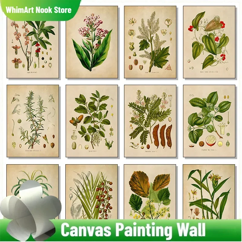 Póster con ilustración botánica de estilo Vintage, pintura en lienzo, arte de pared, imágenes HD, decoración del hogar, bruja, peligro, tamarindo, árbol, Pie de Coltsfoot