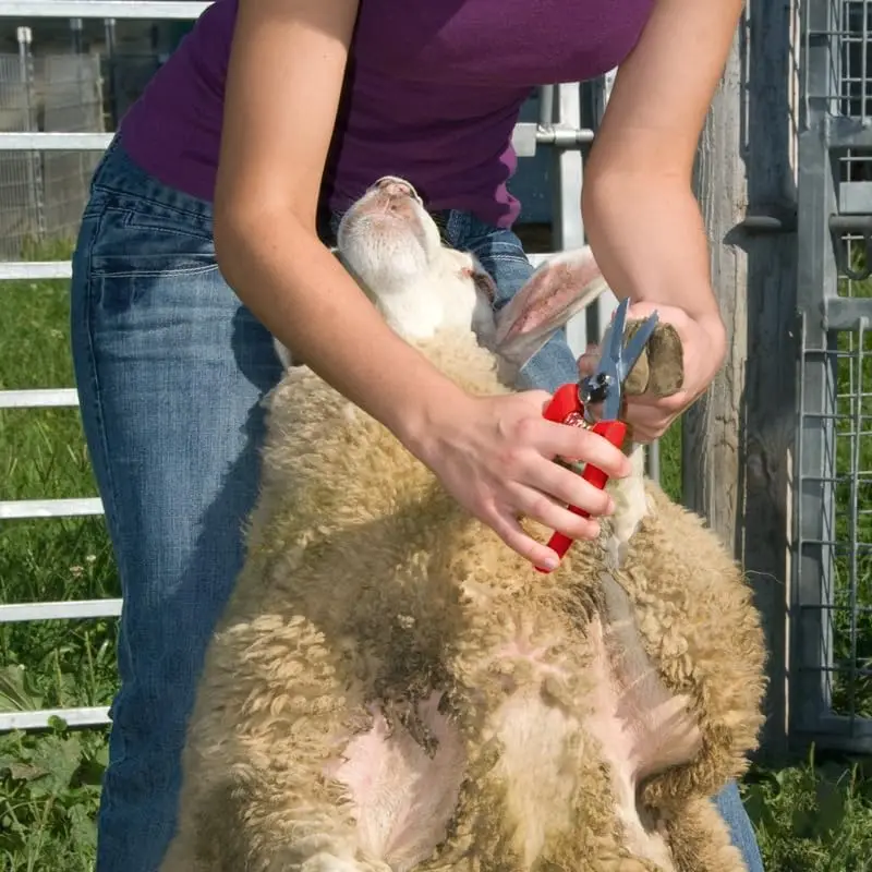 ARS 140DXR Smooth Blade Hoof Trimmer & Garden Pruning Shears