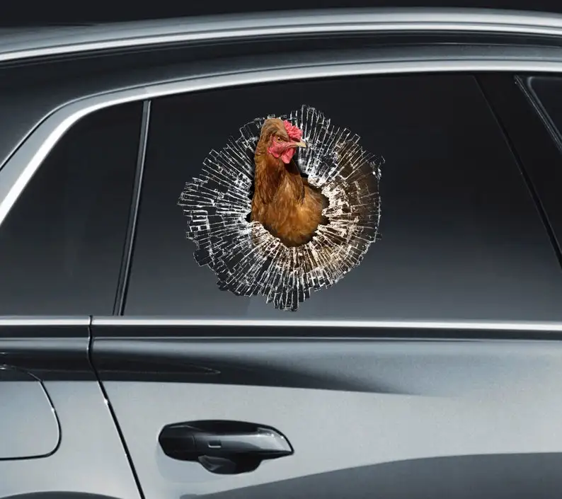 

Chicken sticker Hen sticker Chicken window decal Chicken car decal Funny chicken sticker Hen window sticker Rooster window stick