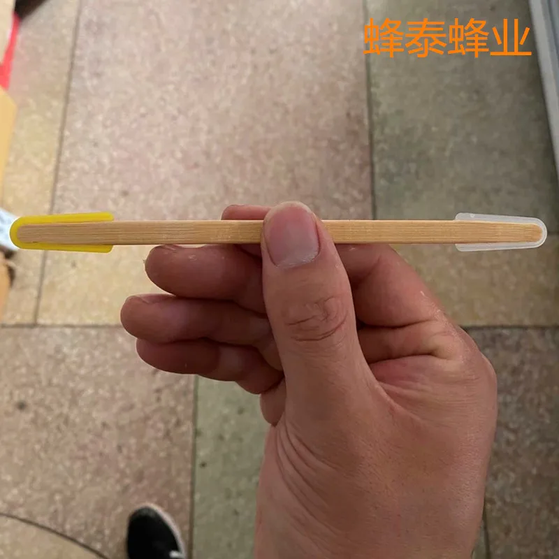 10 pieces of pulp pens, double headed, bamboo pole, transparent one end, and yellow one end