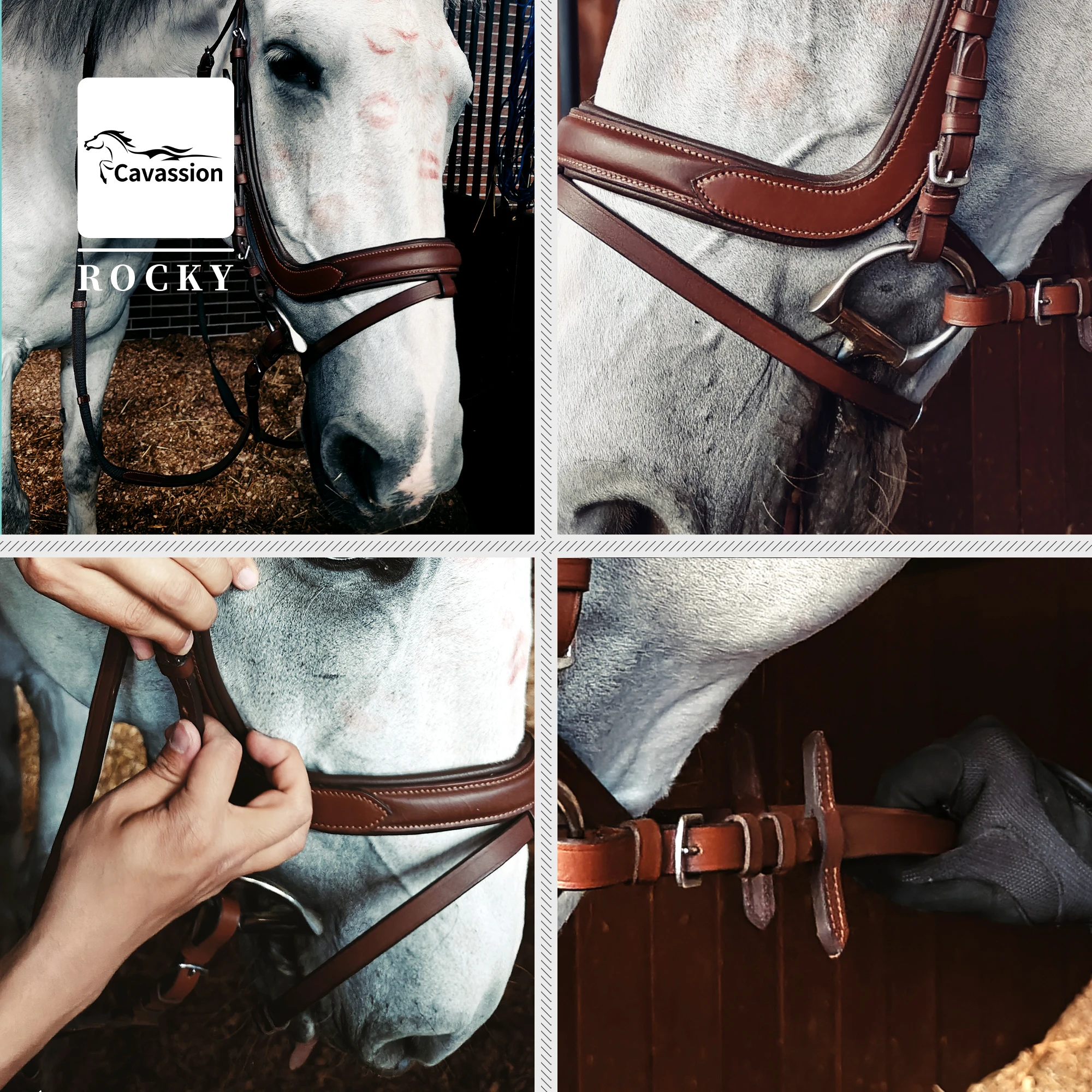 Cavpassion-Couro Couro Equitação Bridle, Anti-Slip Reins, Cor Preta, Equipamentos Equestres, Ride Horse Equipment