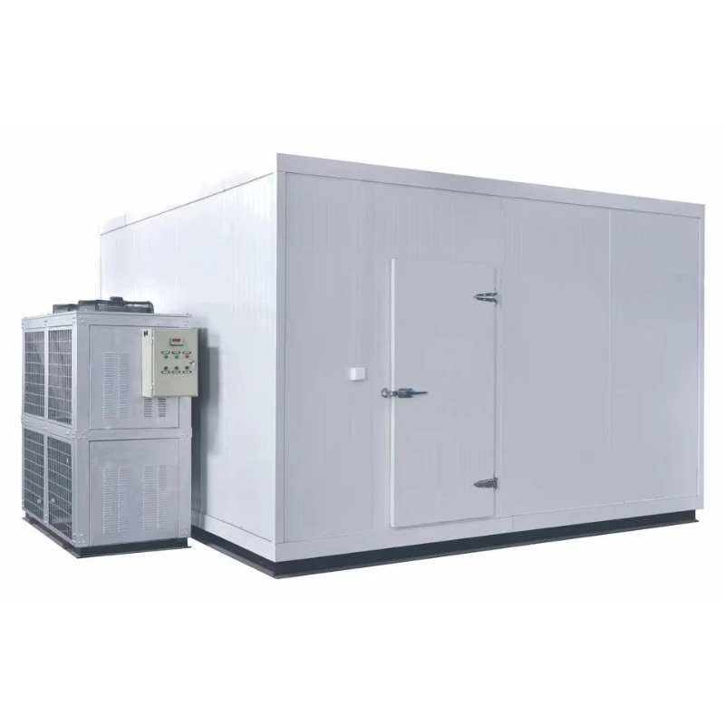 Customized Large Scale Cold Storage Room Industrial Walk In Freezer High Capacity Cooling System For Warehouse Logistics Center
