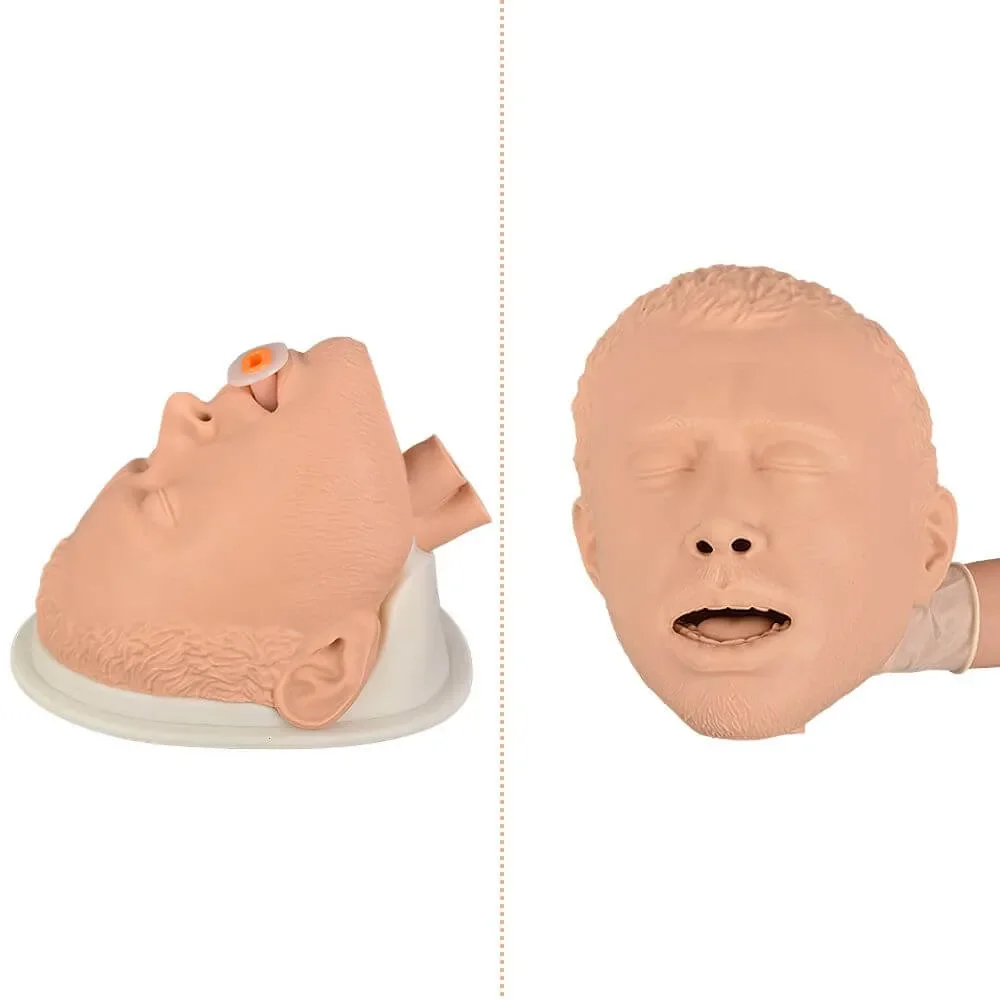 Adult Airway Management Trainer Manikin Head