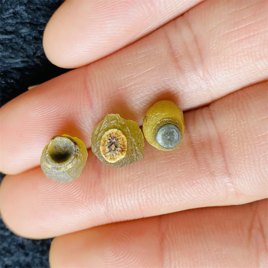 Natural agate Gobi Energy Stone Crystal Healing Specimens Original Mineral