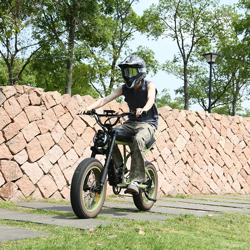 

SXLL США Мощный велосипед Cougar Bike 60 В 750 Вт Fat Bike Дешевый 20-дюймовый мотоцикл