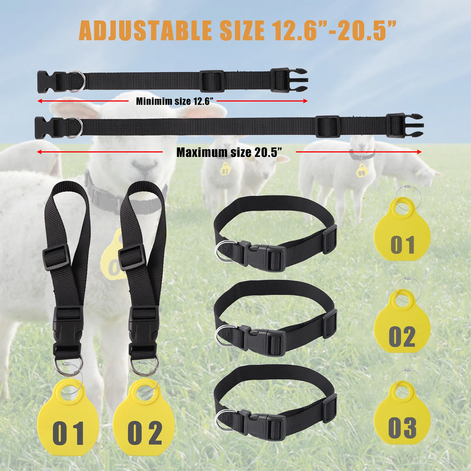 Thumbnail 2 - #33 Ranked Adjustable Pet Collars Picks in 2026