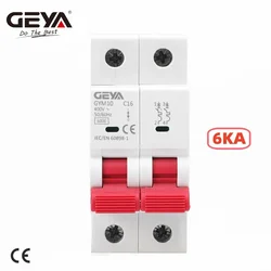 GEYA GYM10 Double Pole Din Rail MCB 6KA Miniature Circuit Breakers 40A 63A AC Type with CE CB