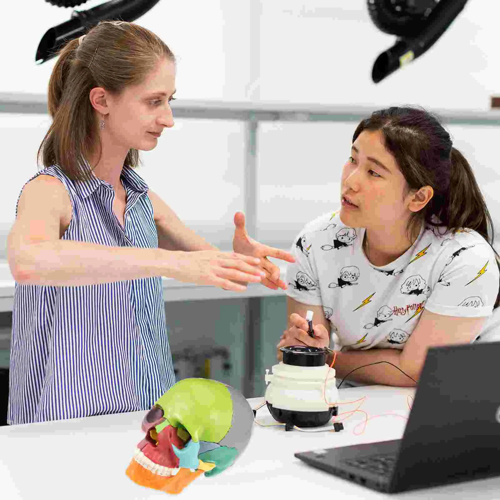 Simulated Skull Desktop Ornament Anatomical Model Medical Statue Colored Head Pvc Shape