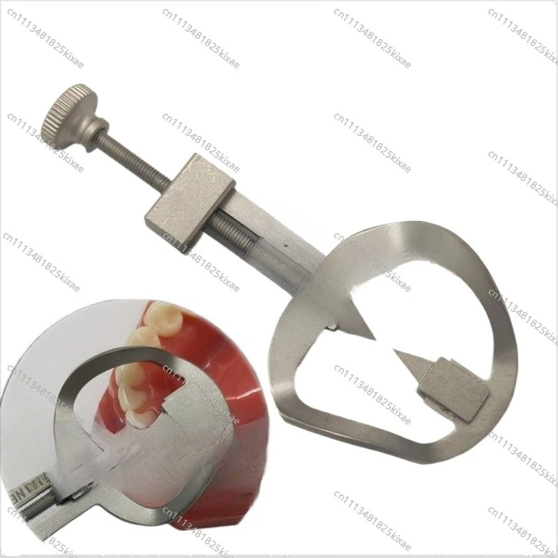 For Dental Separator Orthodontic Temporary Separator Dental Space Separator Post-dental Department Oral Care