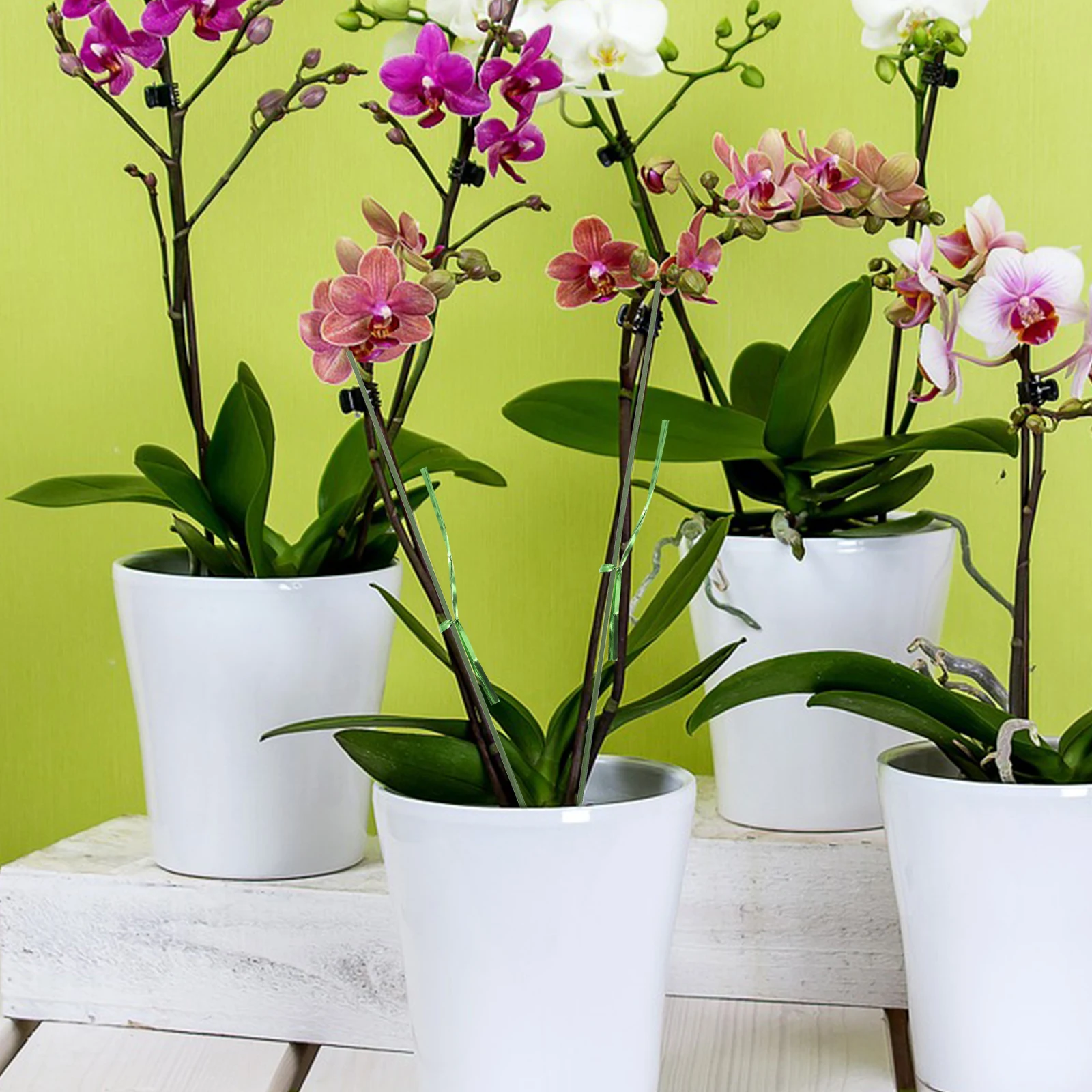 

20Pcs Plant Growth Support Stakes Plastic Durable Stable Potted Plant Support Rod Garden Flower Climbing Trellis Vine Hydrangea