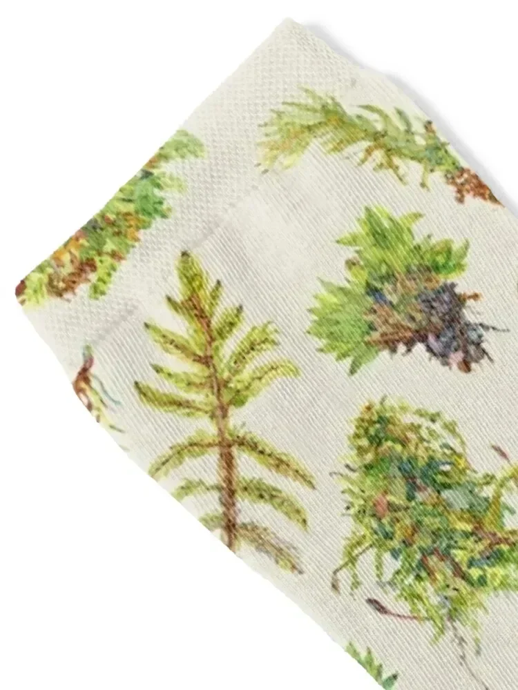 Mosses - Neutral Socks hip hop Thermal man winter Children's winter thermal Men's Socks Luxury Women's