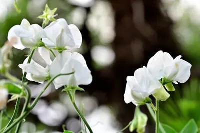 64Pcs Tamiya TT02 S…