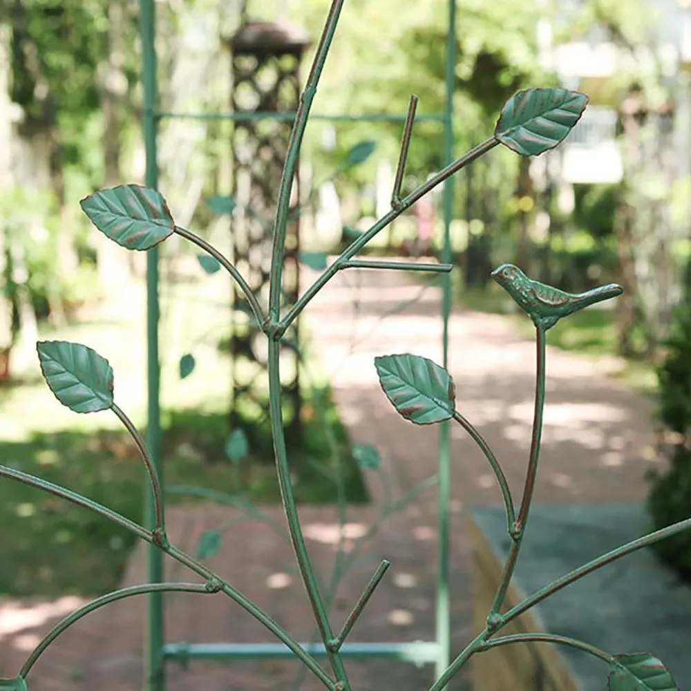 Outdoor Metal Arches, Various Climbing Plants, Rose Vineyards, Outdoor Wedding Arches, Wedding Party Decorations