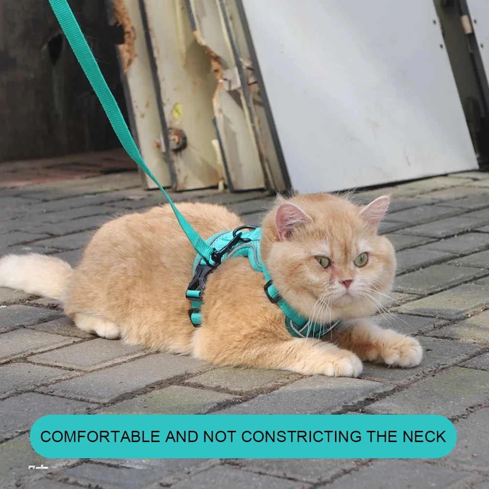 Thumbnail 4 - #28 New Dog Car Safety Harnesses Arrivals