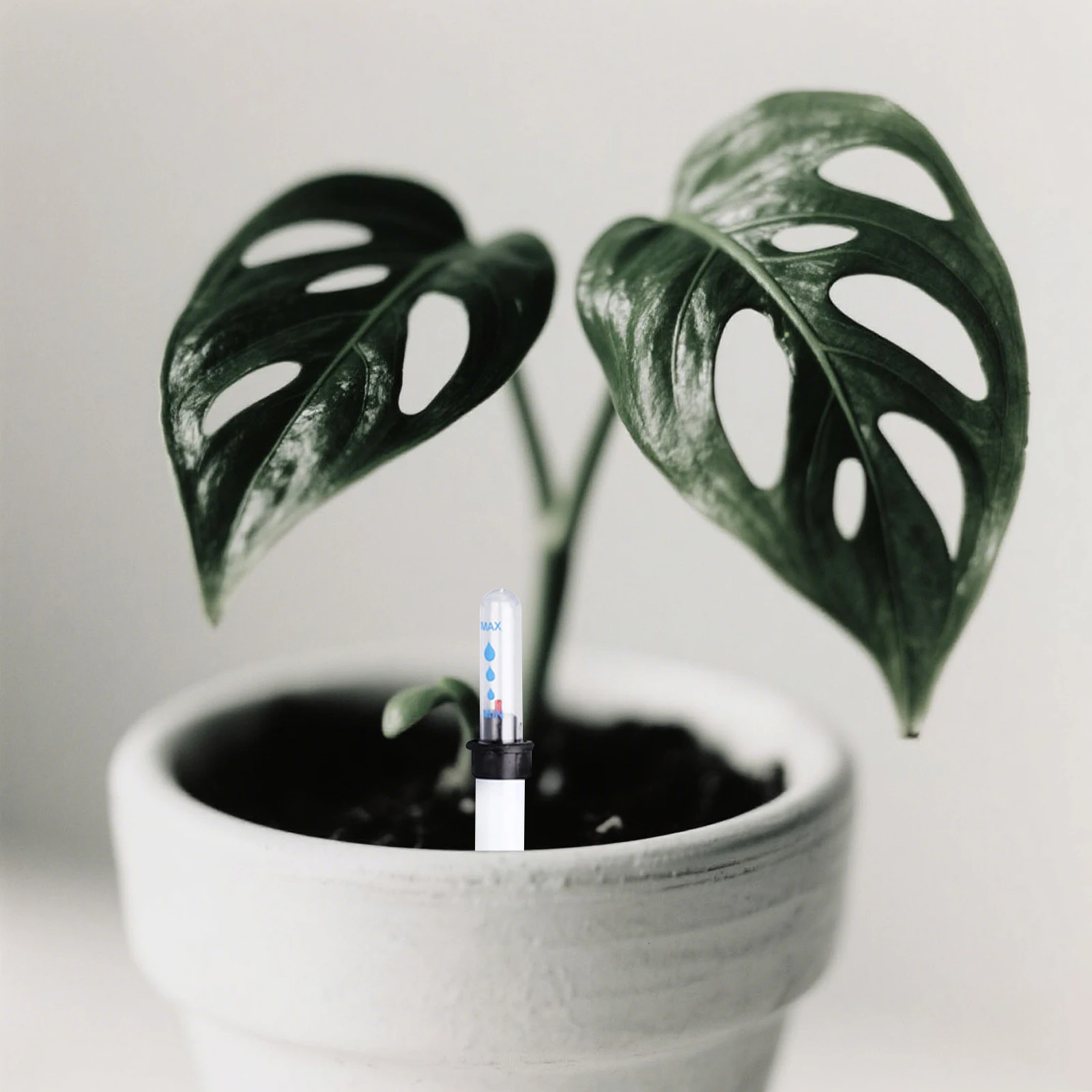 

6Pcs Water Level Gauge for Plant Pots Functional Water Shortage Reminder with Rising Buoy Indicator for Garden Houseplants