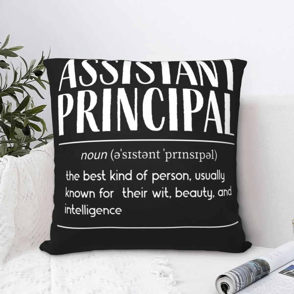 Assistant Principal Square Pillowcase Polyester Pillow Cover Velvet Cushion Decor Comfort Throw Pillow For Home Car