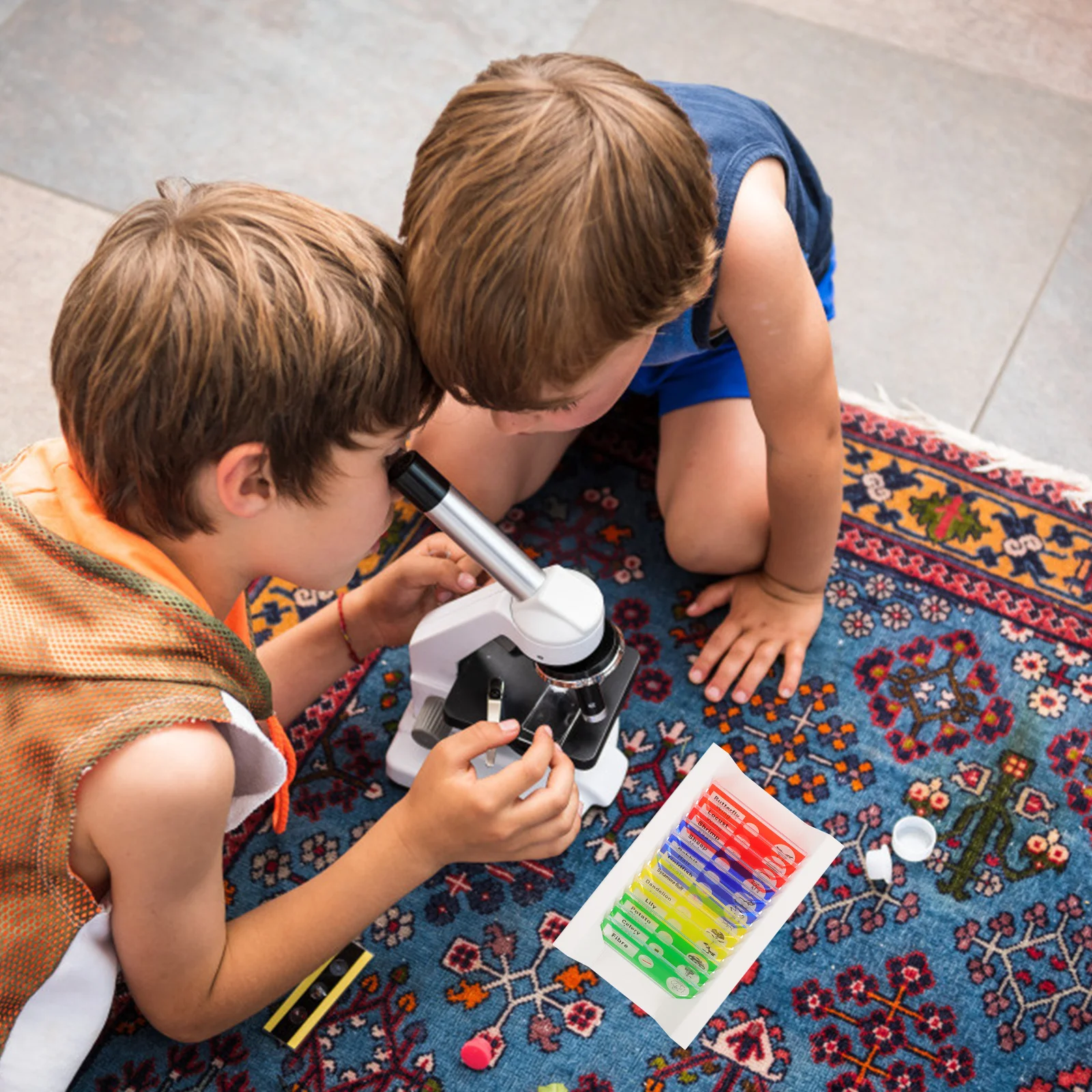 36 pz Vetrini biologici Vetrini per microscopio preparati per bambini Raccolta di campioni in plastica Pianta Campioni di insetti animali Stereo